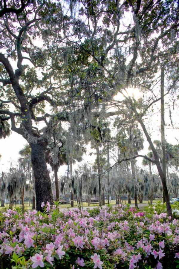 Restored Historic Home 5 Bedroom 4 And A Half Bath Savannah Exterior foto